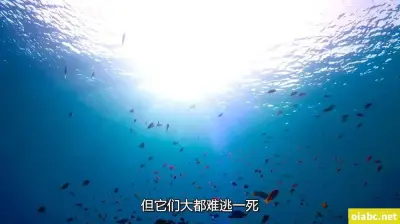花季传媒黄版剧照3